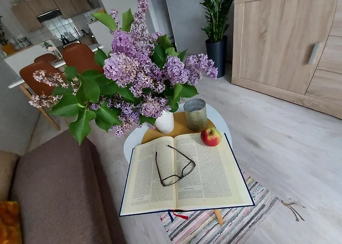 Appartement Wagrowiec, Gabi - Remigiusz Kiszka Wągrowiec